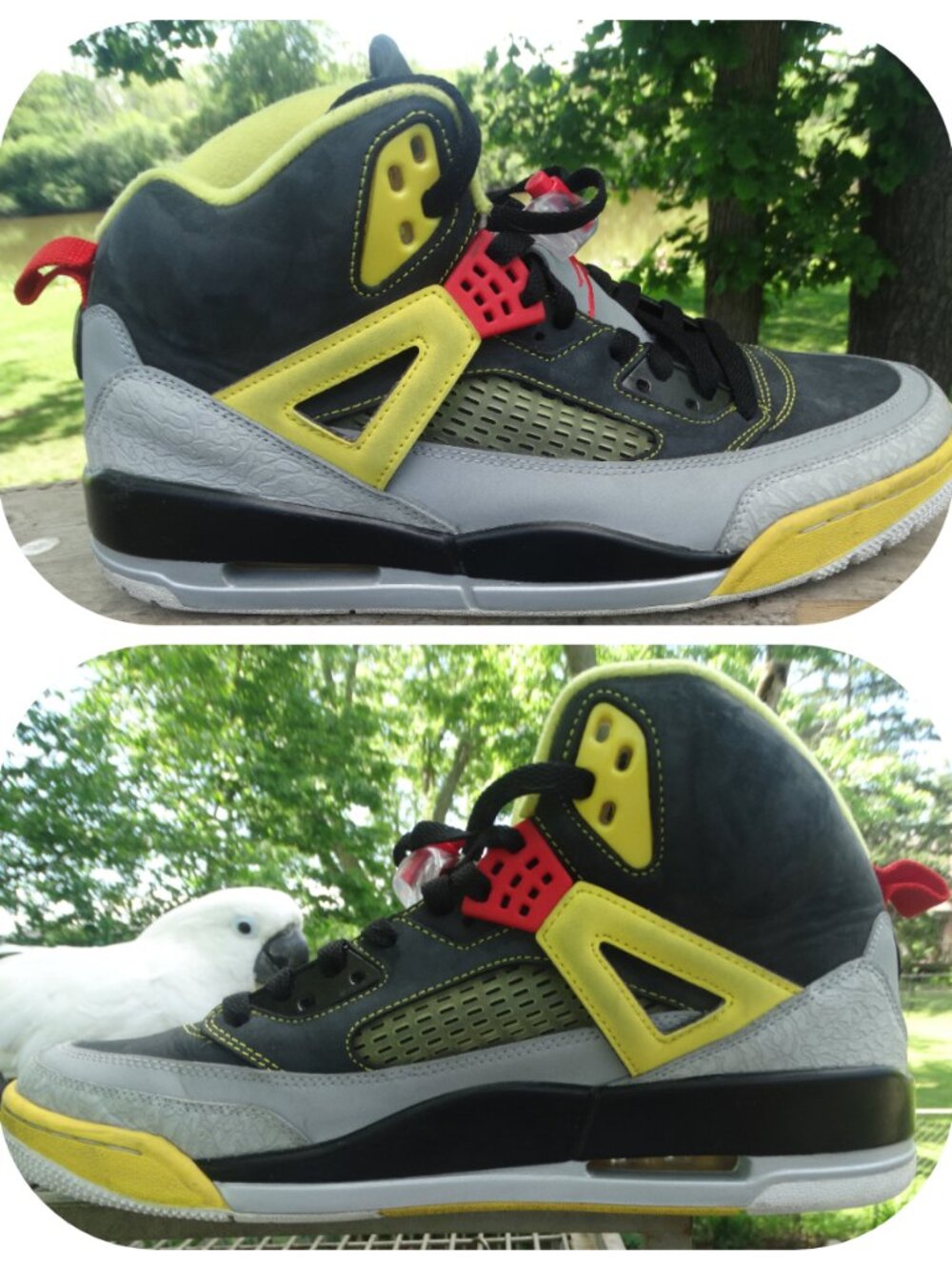 Nike Air Jordan Spizike Men's Size 13 High Top Sneaker 2013 Metallic Silver